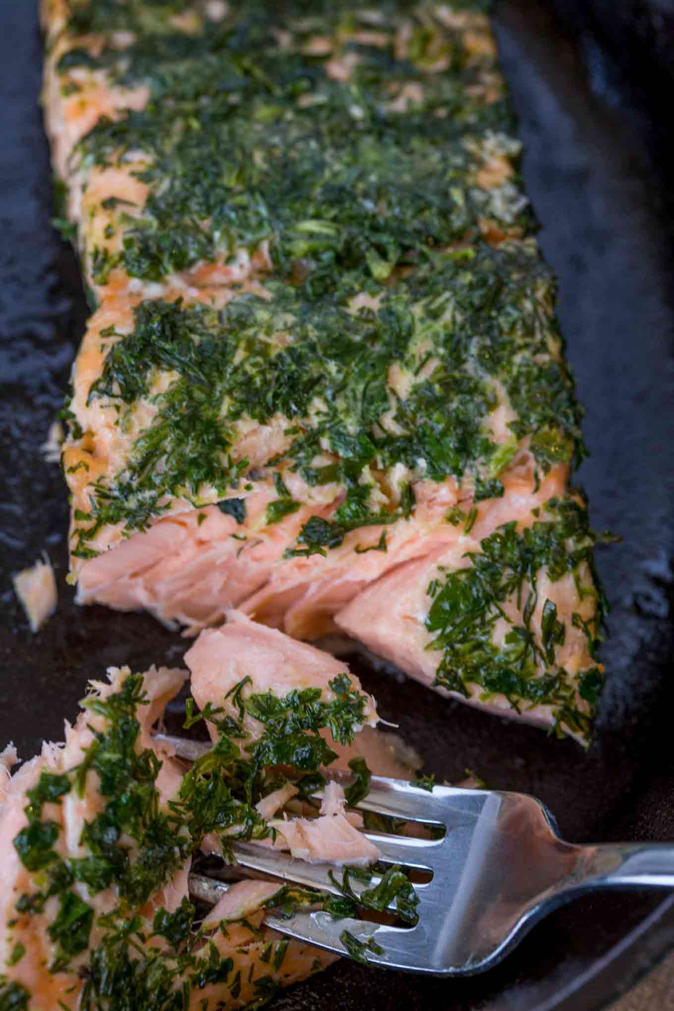 Lemon Dill Salmon center