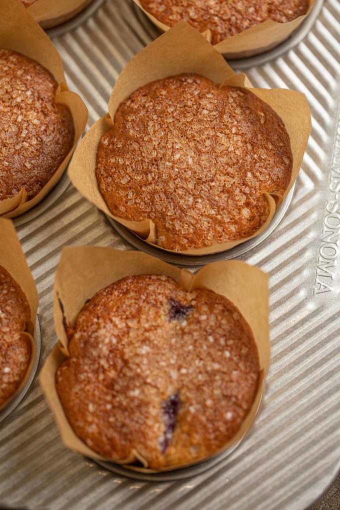 light blueberry muffins