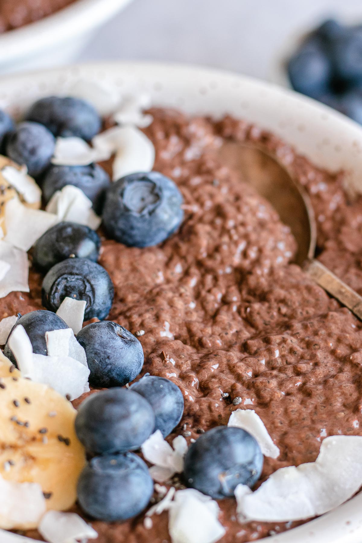Chocolate Chia Pudding up close in a bowl with fruit