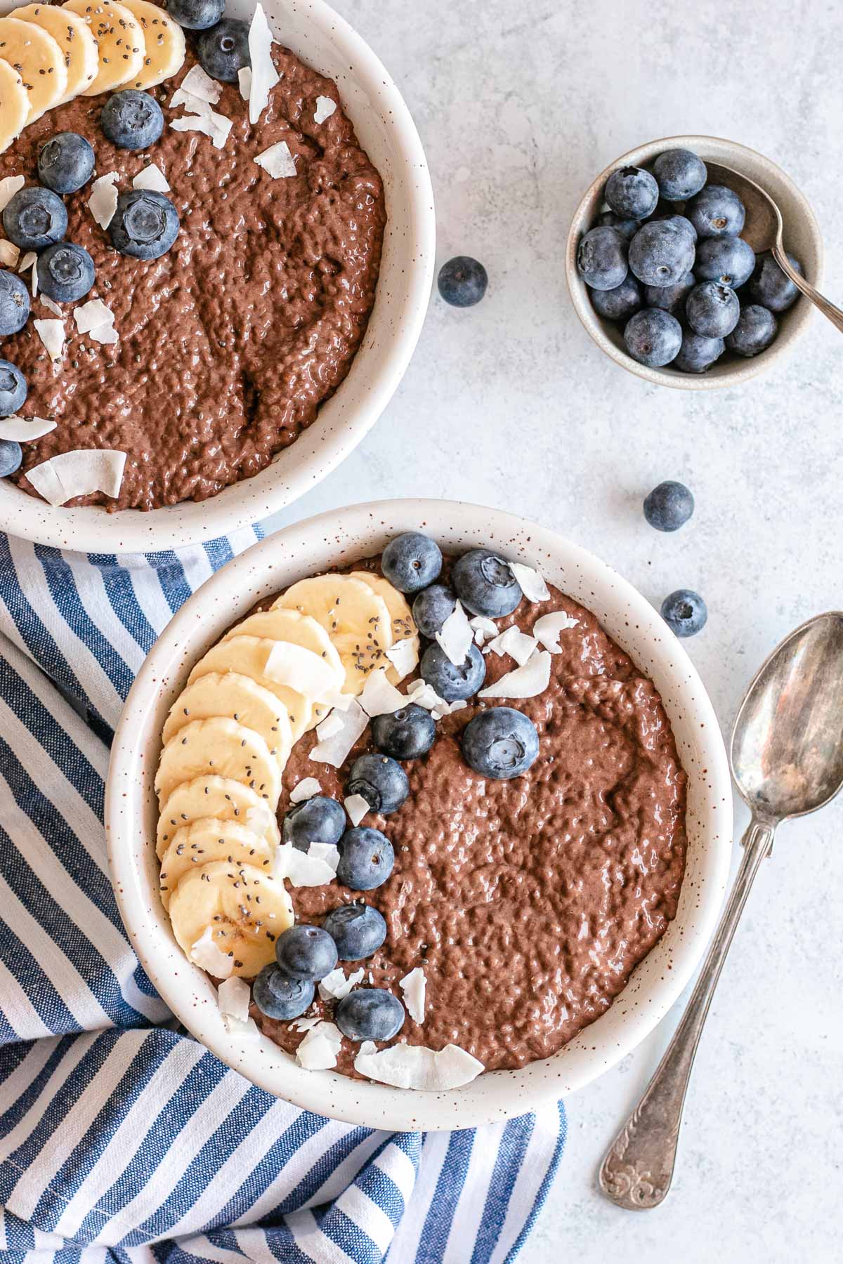 Chocolate Chia Pudding in a bowl with fruit