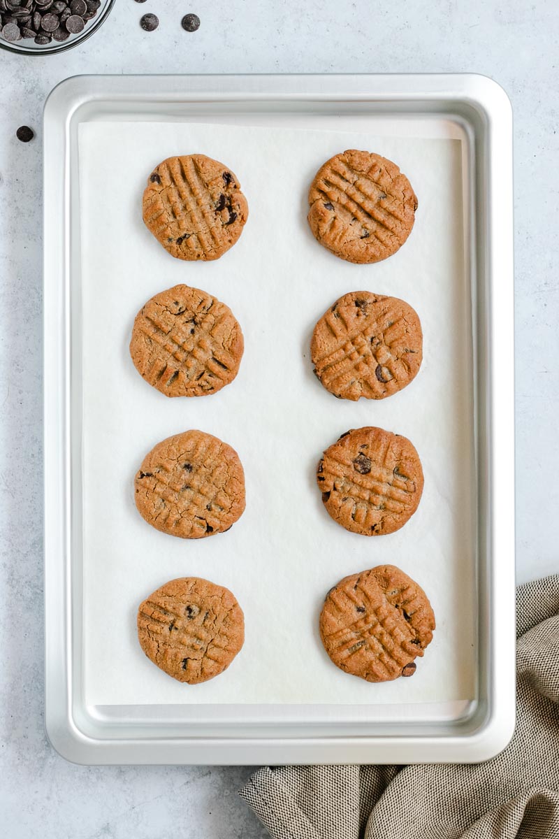 Flourless Peanut Butter Chocolate Chip Cookies cooked on baking sheet