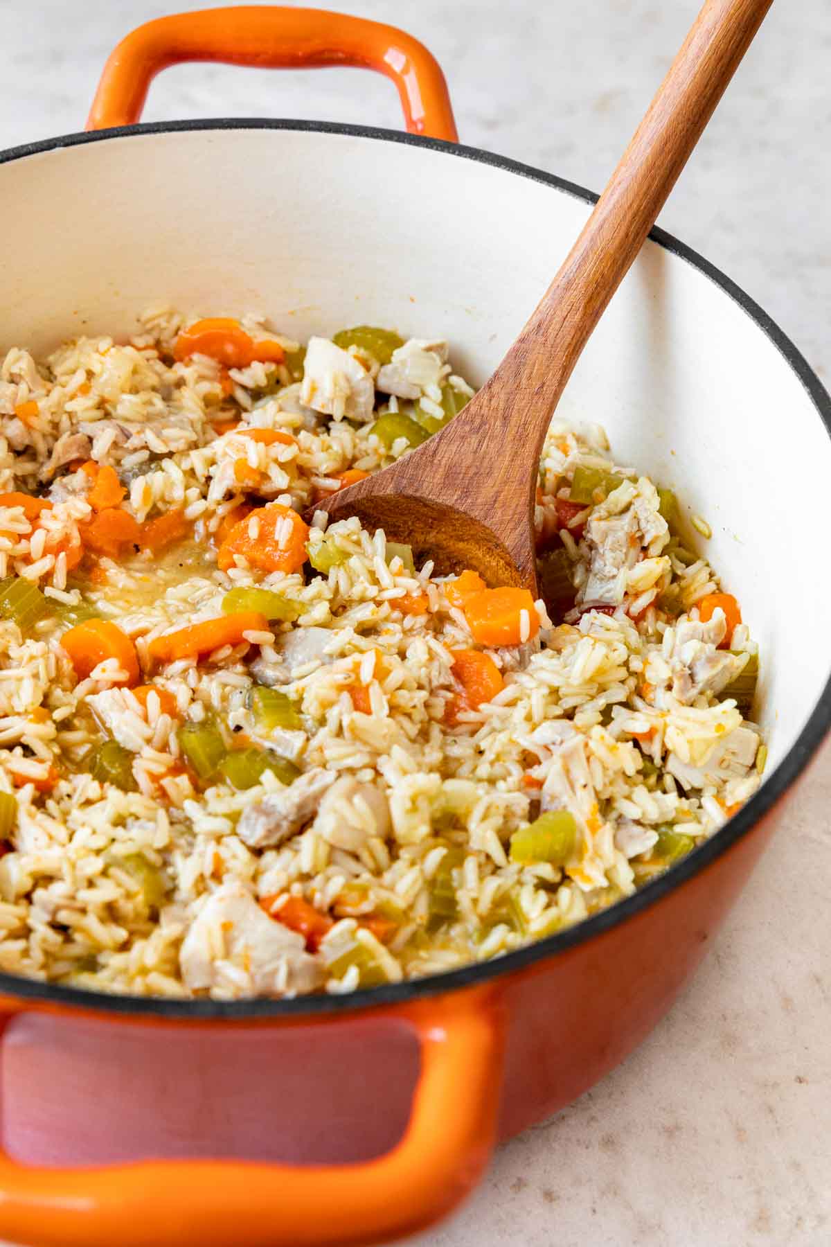 Chicken Rice Soup in pot