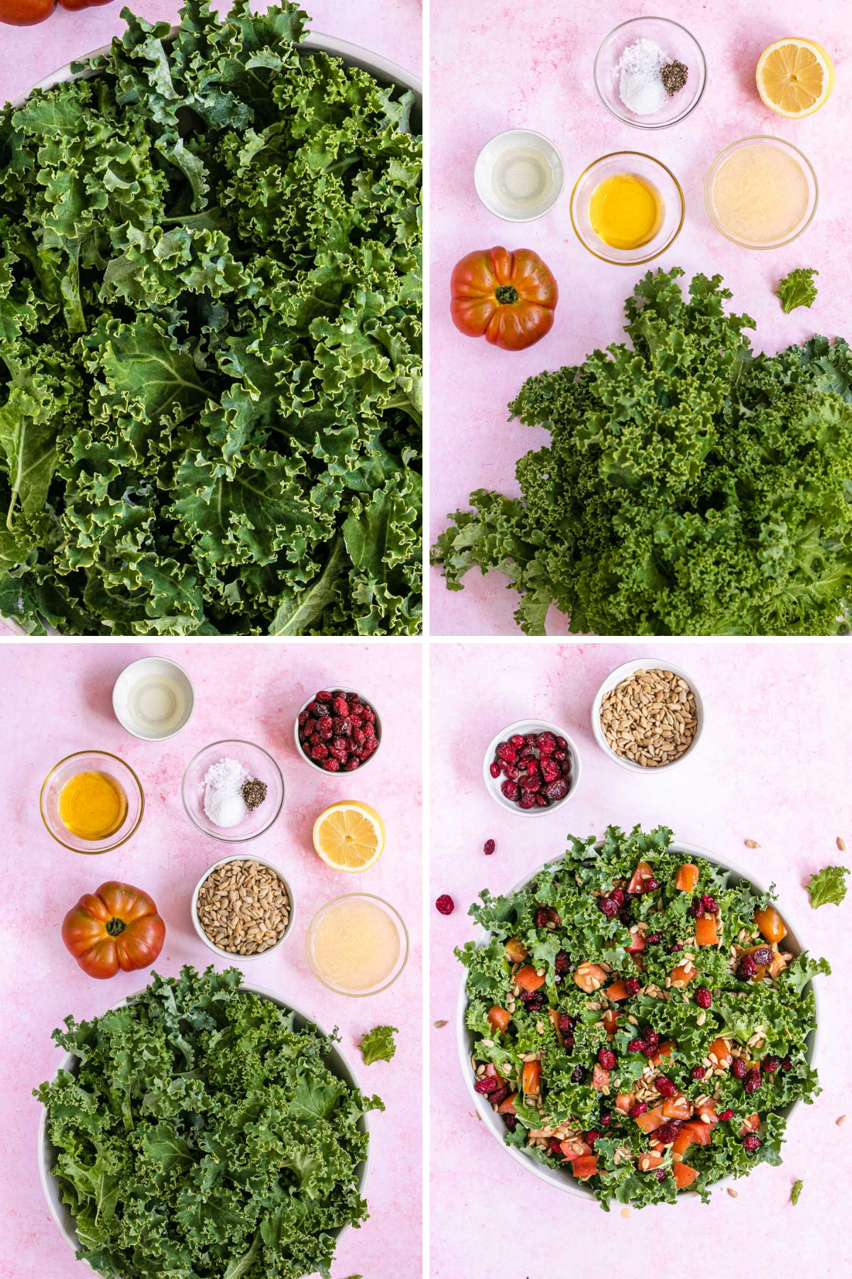 Kale Salad Collage of ingredients 