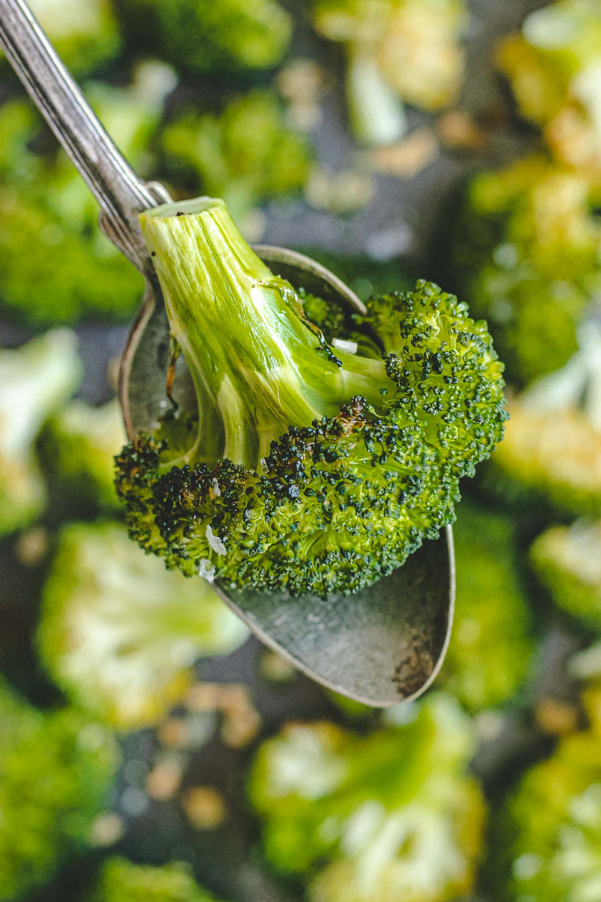 Roasted Broccoli with Garlic up close on spoon