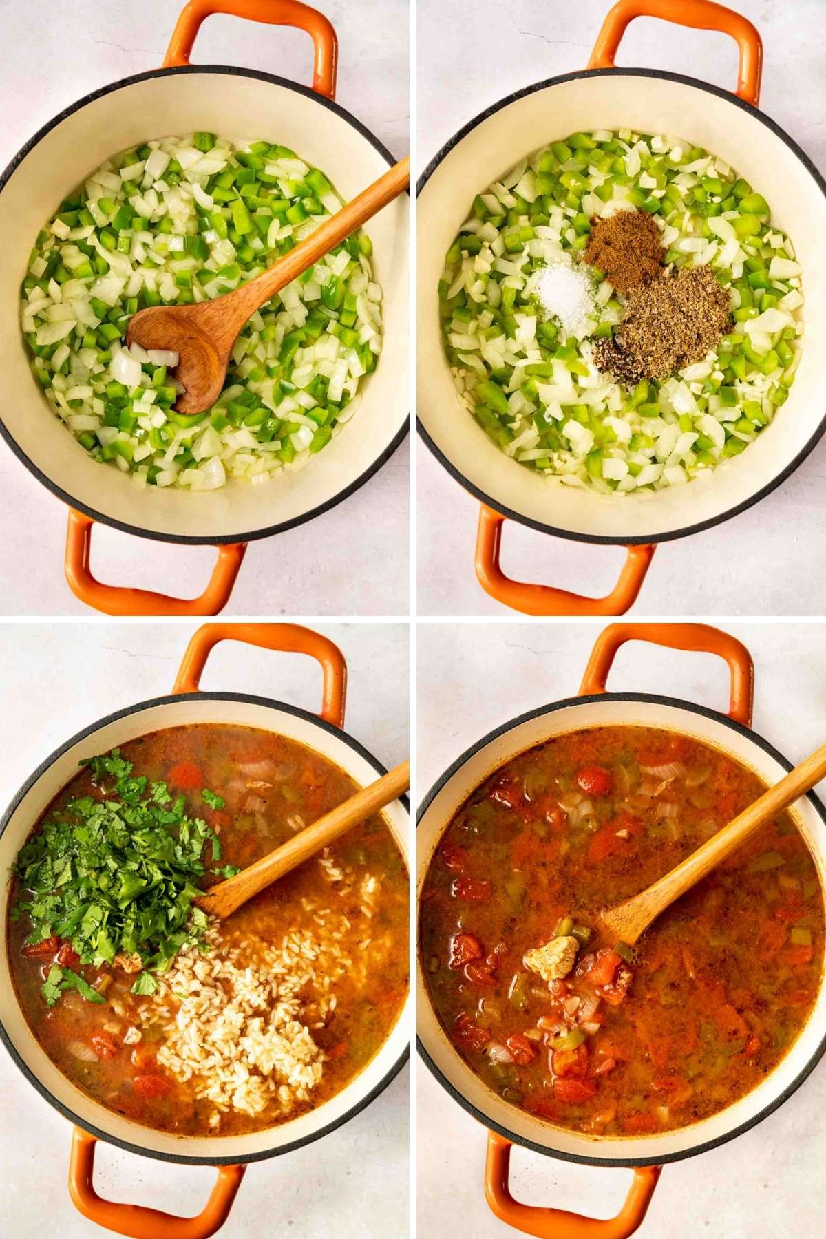 Mexican Chicken Stew collage