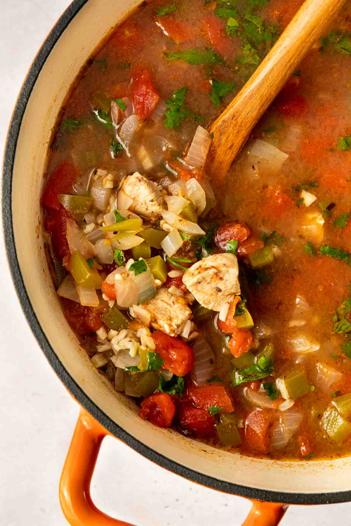 Mexican Chicken Stew in pot